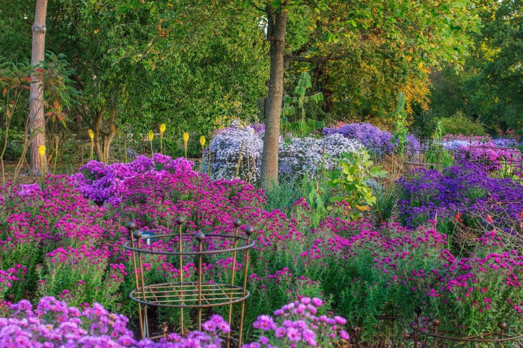 Giardino RHS Wisley, Surrey, Regno Unito. Il 25 gennaio, 2019. Preparativi  finali di più di 40 a grandezza naturale di animali e piante effettuati con  il popolare LEGO® Mattone di Edificio che