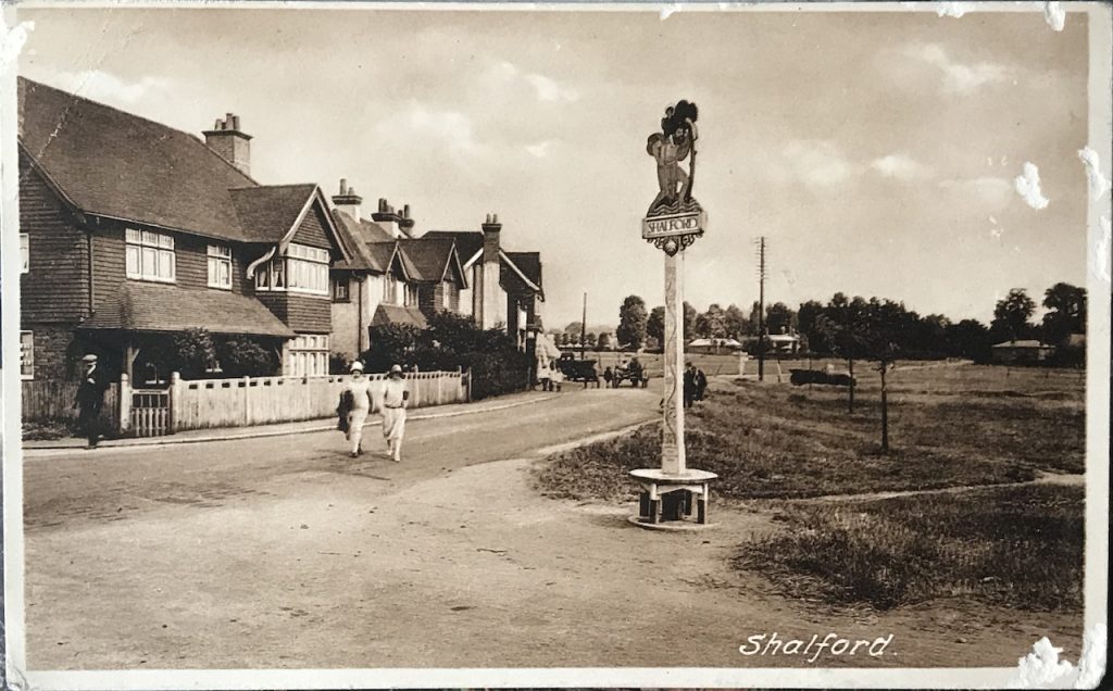 Guildford Dragon NEWS