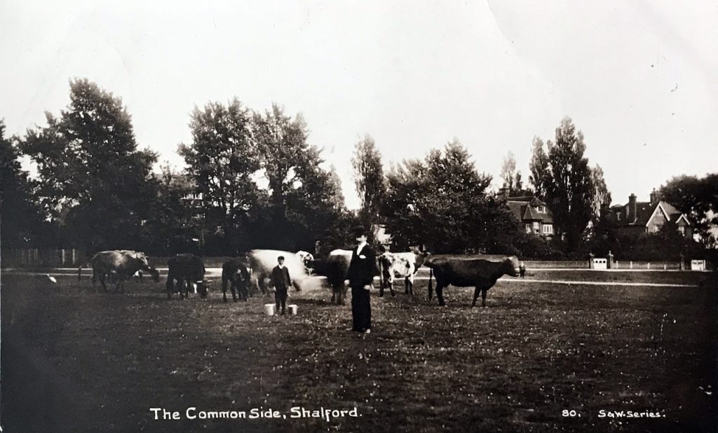 Guildford Dragon NEWS