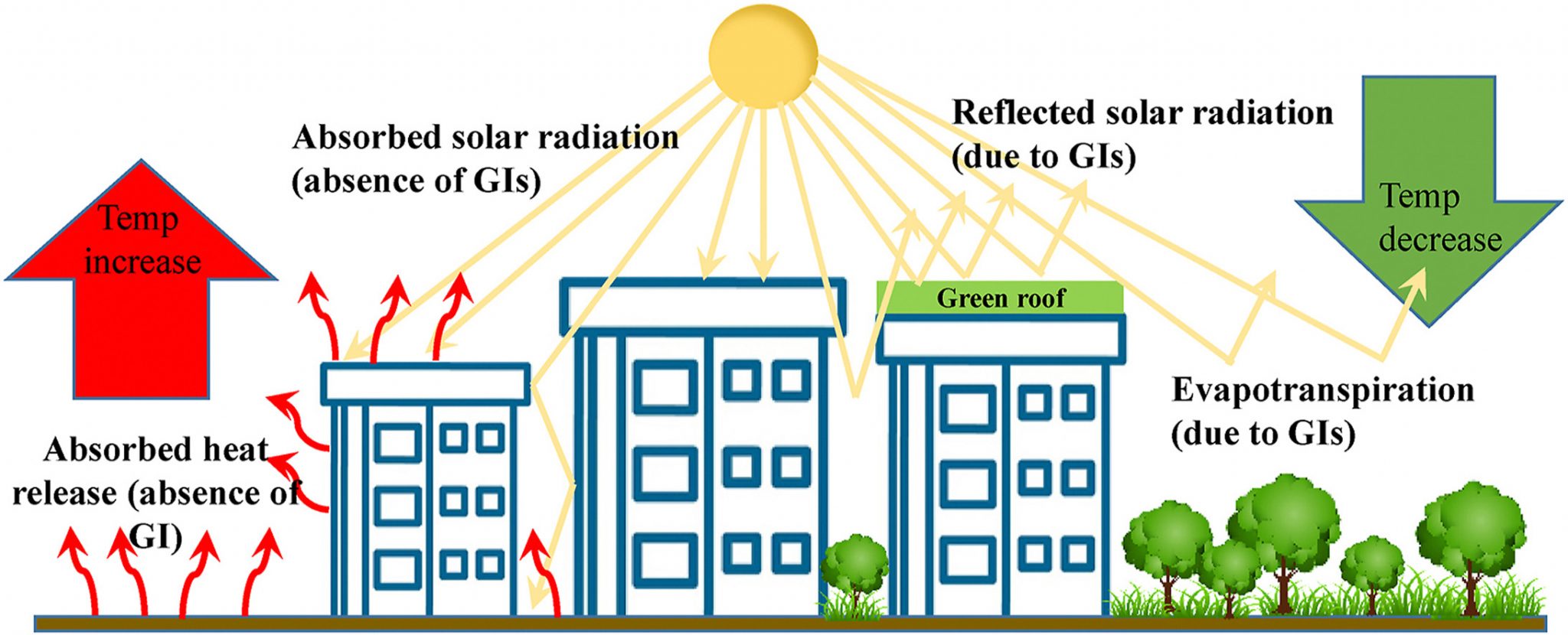 Trees Are The Coolest Way To Reduce Urban Heat Island Effect, Surrey ...