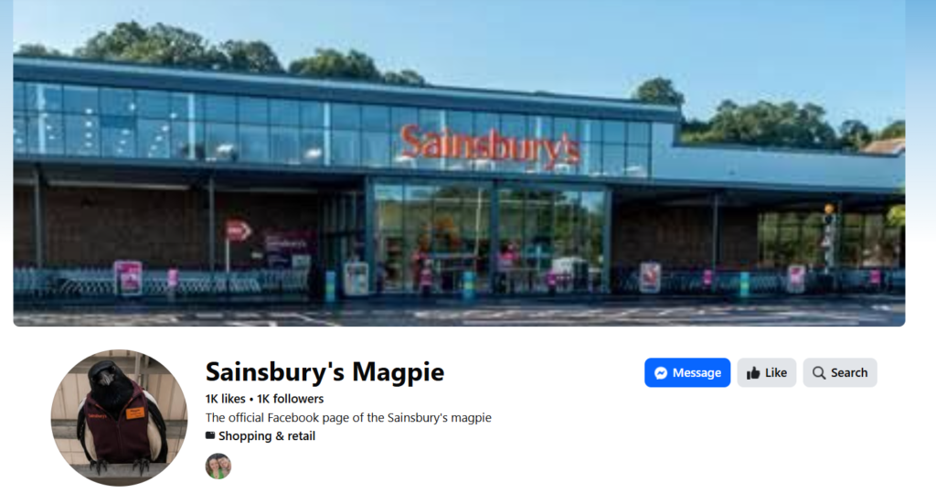 The magpie is steadily becoming Godalming's hottest influencer
